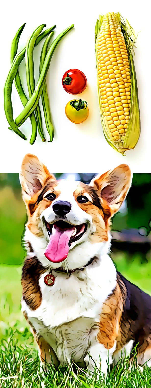 PS插件!卡通人物漫画风格一键生成插件Cartoon Maker汉化中文版